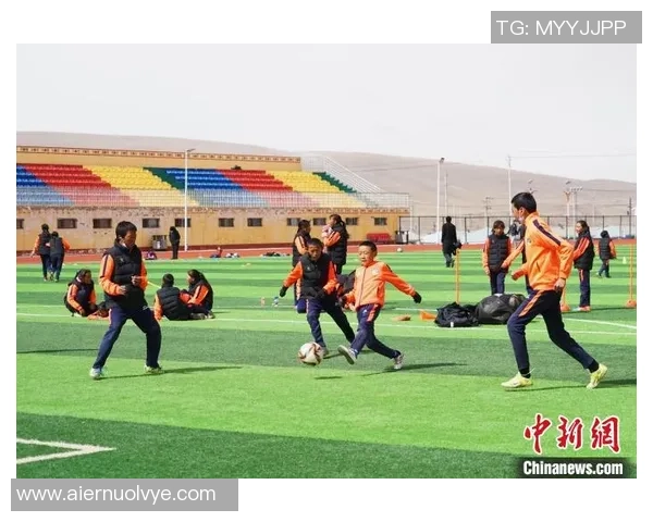 河源足球明星阵容全景展示与精彩瞬间回顾