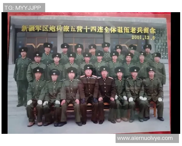 重庆排球队的崛起之路精英赛背后的奋斗与成长故事