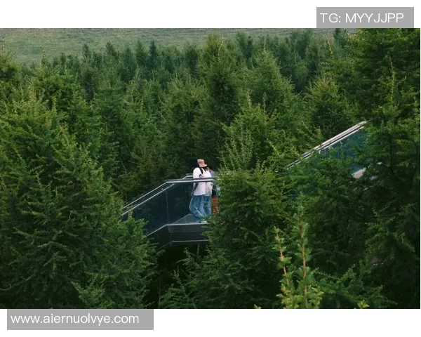 梦中邂逅足球明星的浪漫爱情故事与心灵旅程