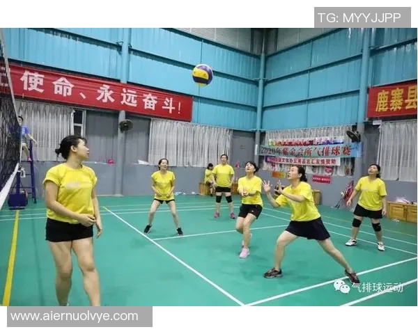 杭州排球队精英赛心理素质分析与表现评估 杭州排球队精英赛心理素质分析与表现评估